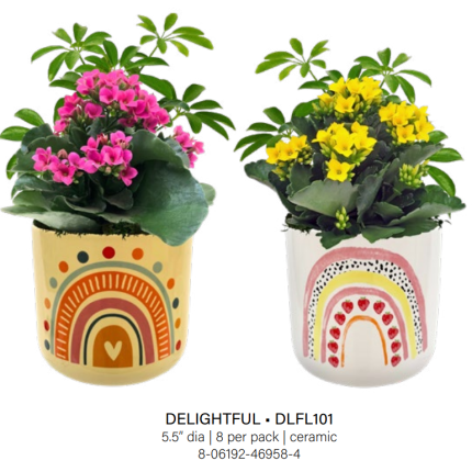 Delightful Rainbow Garden