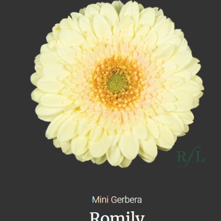 Romily