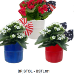 Bristol