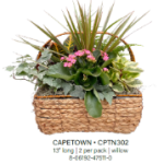 Capetown Wicker Basket Medium