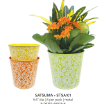 Satsuma citrus tin