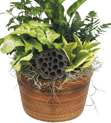 Santino Wicker Bowl
