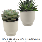 Nollan