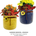 Kansas Mason Jar