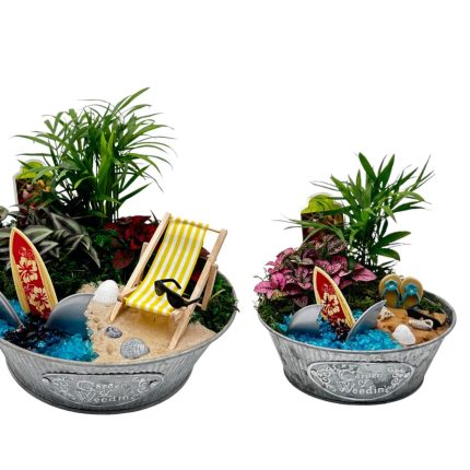 Shark Attack Fairy Garden W/Themed Deco