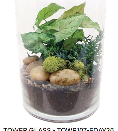 Tower Glass Terrarium