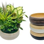 Dish Garden In Assorted Colored Spun Bamboo