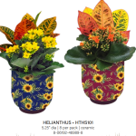 Helianthus Garden