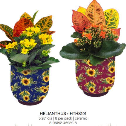 Helianthus Garden