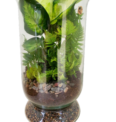 Valley Hurricane Glass