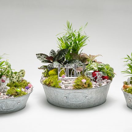 Garden Of Weedin Metal W/ Fairy Garden: Mini Deco & Plants