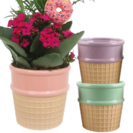 Sugar Cone Garden