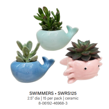 Swimmers