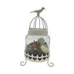 Glass Bird Cage Terrarium