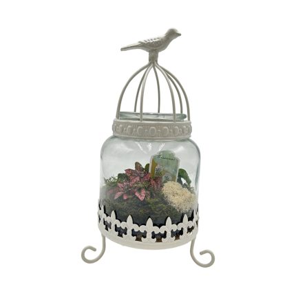 Glass Bird Cage Terrarium
