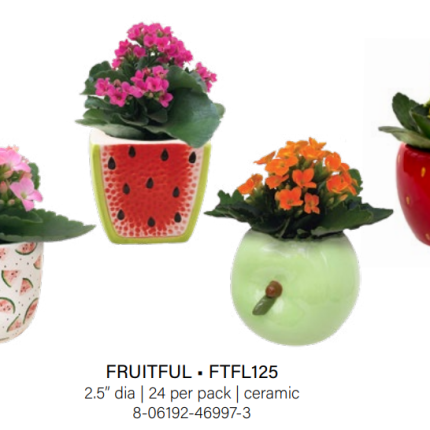 Fruitful Mixer