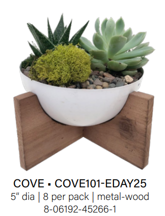 Cove Succulent Garden
