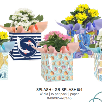 Splash G Cover