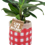 Alfresco Picnic Bag