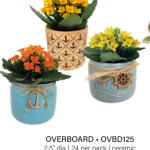 Overboard Garden