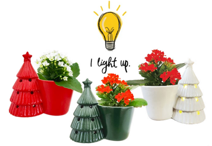 Trafalger Light Up Tree Mini Trafalger Light Up Tree Mini