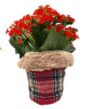 Plaid Tote