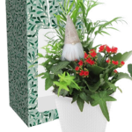 Mistletoe Magic Sleeve
