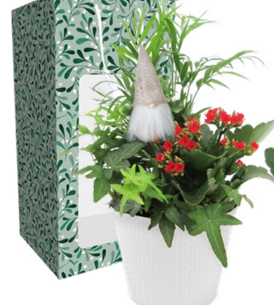 Mistletoe Magic Sleeve