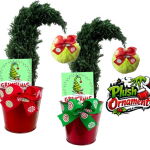 Augustus Grinch