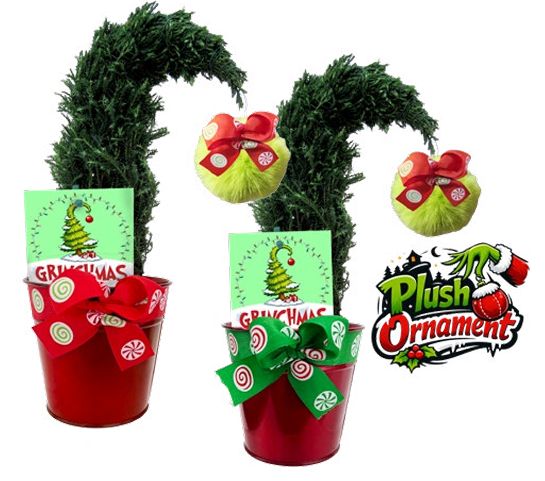 Augustus Grinch Augustus Grinch