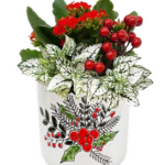 Merry Berry Garden Small