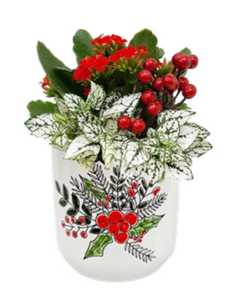 Merry Berry Garden Small