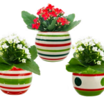 Elfmas Striped Mini
