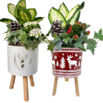 White Christmas Stand LG.