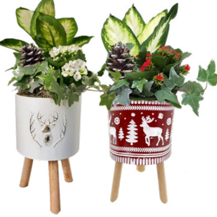 White Christmas Stand LG.