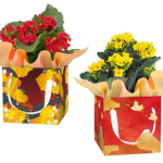 Crane Gift Box Set