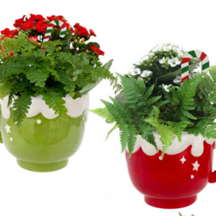Peppermint Mocha Mug