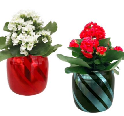 Garland Striped