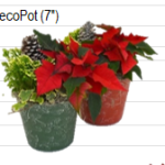 Decopot