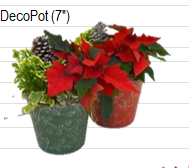 Decopot
