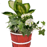 Bushel & Peck Small