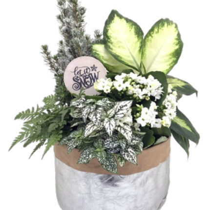 Dolce Paper Foil Garden