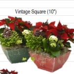 Vintage Square
