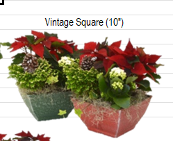 Vintage Square