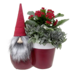 Tomte Gnome Garden