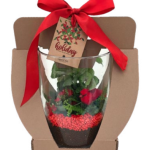 Holiday Tower in Carry Case