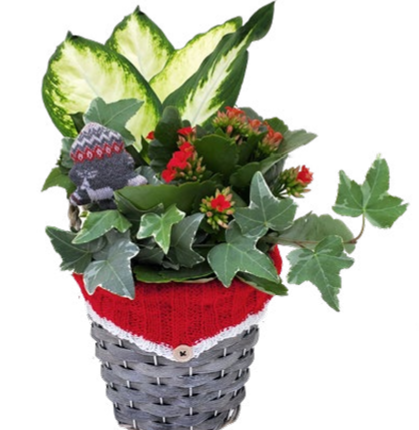 Hygge Sweater Basket LG