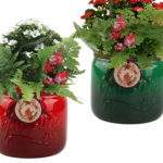 Snowbird Mason Jar