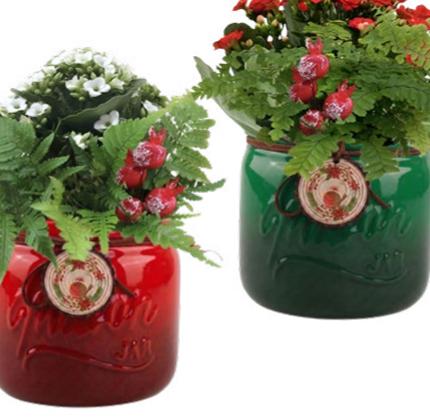 Snowbird Mason Jar
