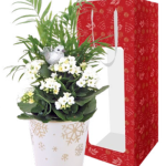 Snowflake Garden Small